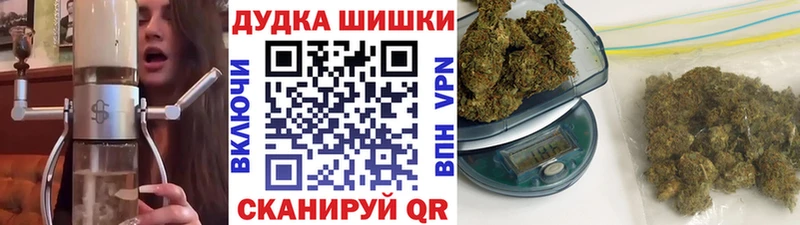купить наркоту  Шали  кракен онион  Каннабис сатива 
